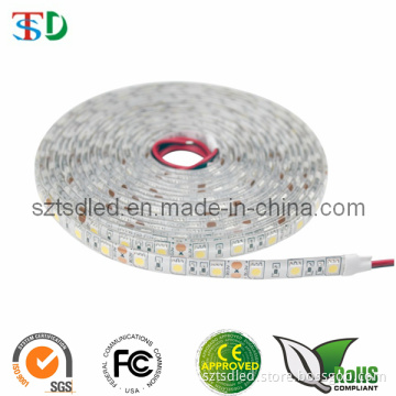 Waterproof IP65 5050 LED Strip RGB LED Strip for Architectural Decorative Lighting, Stairway Accent Lighting